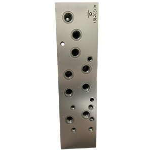 BLOCO MANIFOLD